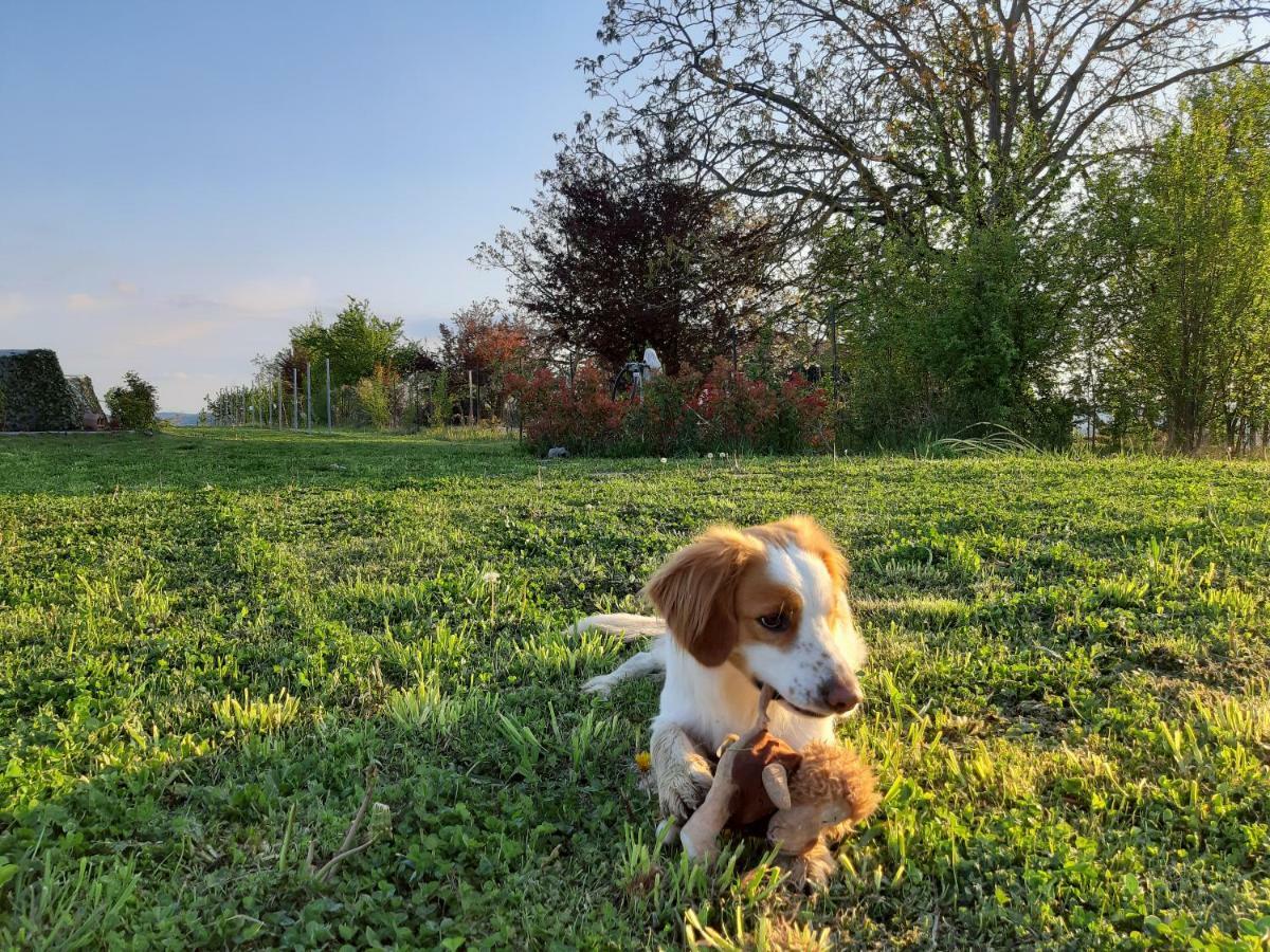 Willa Il Balcone Sul Monferrato Tonco Zewnętrze zdjęcie
